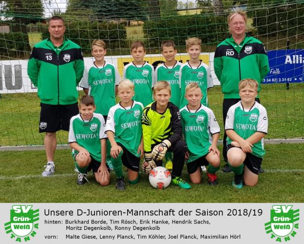 Pokal-HF Grün-Weiß Tanna - Carl-Zeiss Jena III 4:3 (3:3)